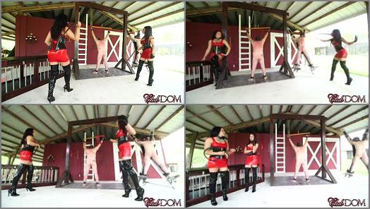 Clubdom – Cruel & Unusual FemDom – Michelle and Tangent’s Auction Slave 6: Whip-a-thon