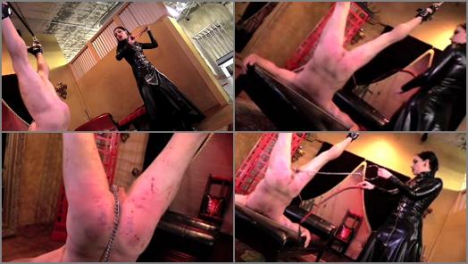 Dominatrix – DomNation – ASS IN THE AIR  Starring Mistress Cybill Troy
