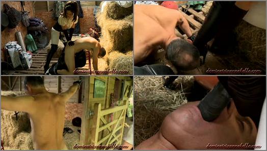 Dominatrix Annabelle  Asleep in the Stables Full video   Lady Annabelle preview