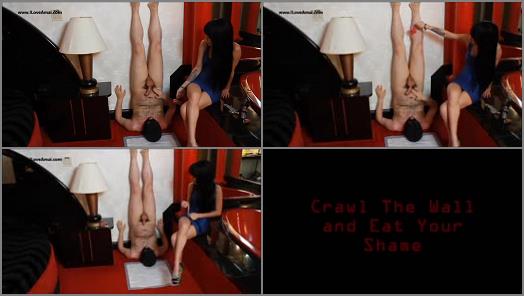 Cei – Play With Amai – Crawl The Wall and Eat Your Shame