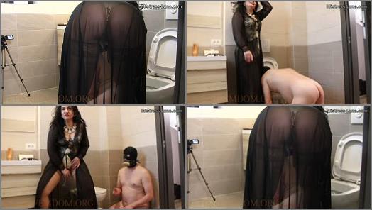  Mistress Luna  Toilet slave  preview