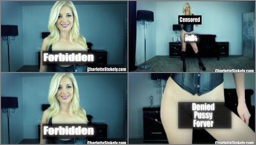  Charlotte Stokely  Hereby Forbidden  preview