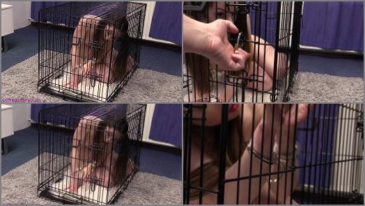 Leg Irons – Cuffed Teens – Adele – pet play in the small cage
