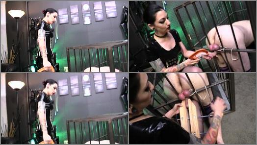 Cybill Troy FemDom AntiSex League BALL STOMPING Balls in a Vice preview