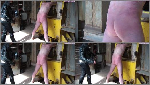 Spanking – Lady Alegria`s Clip Store – My rubber whip on your ass