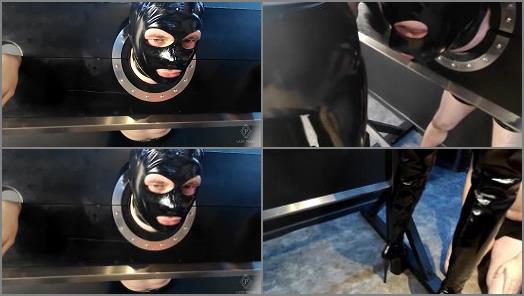 Female Domination – Lady Perse (2020) I covered this slave face with my spit