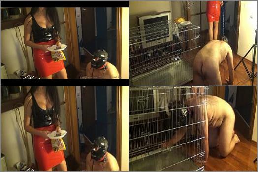 Human Pet – Mistress Antonella – Dog Training For My Slave